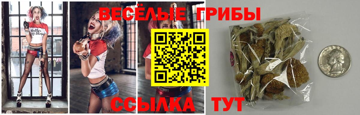 Новосибирск  что такое   Вход с VPN  Галлюциногенные грибы прущие грибы 